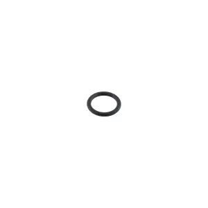 Pacific Performance Engineering - 138051006 | PPE Performance Replacement Viton O-ring for 1/2 Inch ORB plug