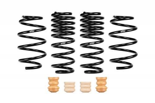 Eibach - E10-23-041-01-22 | Eibach PRO-KIT Performance Springs for Chevrolet Trailblazer | Set of 4 Springs