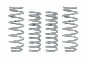 E32-27-004-02-22 | Eibach DRAG-LAUNCH-KIT (Set of 4 Springs)
