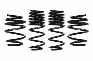 E10-40-036-03-22 | Eibach PRO-KIT Performance Springs (Set of 4 Springs)