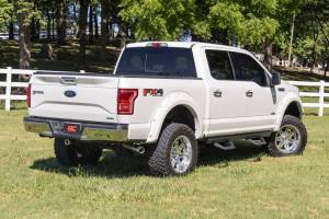 Rough Country - 51008A | Rough Country SRX2 Adjustable Aluminum Step For Ford F-150 / F-150 Lightning / F-250 Super Duty / F-350 Super Duty / F-150 Raptor | Crew Cab - Image 8