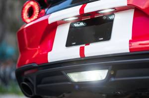 Morimoto - LF7910 | Morimoto XB LED License Plate Lights For Ford Mustang | Pair - Image 6