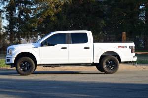 Belltech - 15101 | Belltech 0-2" Height Adjustable Leveling Coilover Kit (2015-2020 F150 2WD/4WD) - Image 6