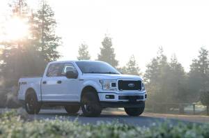 Belltech - 15101 | Belltech 0-2" Height Adjustable Leveling Coilover Kit (2015-2020 F150 2WD/4WD) - Image 7