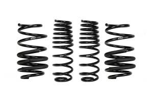 E10-42-059-01-22 | Eibach PRO-KIT Performance Springs (Set of 4 Springs)