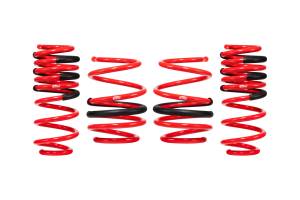 E20-201-006-02-22 | Eibach SPORTLINE-KIT Performance Springs For Acura Integra | Set of 4 Springs