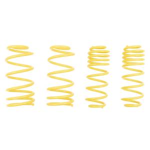 ST Suspension - 66205  | ST Suspensions Sport Lowering Springs - Image 2