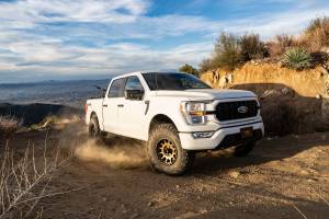 BDS Suspension - BDS1911FPE | BDS Suspension 2 Inch Leveling Kit For Ford F-150 4WD | Fox 2.5 Coil-Over Performance Elite Series, Rear Fox 2.0 Performance Series Shocks, Truck Without Adaptive Headlight UCA Sensor - Image 2