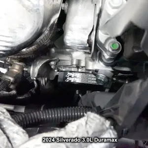 Pacific Performance Engineering - 113060748 | PPE Performance High-Performance Heavy-Duty Serpentine Belt For GM 3.0L Duramax - Image 4