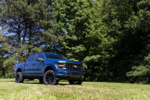 Rough Country - 41430_A | Rough Country 3 Inch Lift Kit Forged Upper Control Arms For Ford F-150 2WD - Image 7