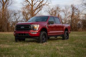 Rough Country - 41430_A | Rough Country 3 Inch Lift Kit Forged Upper Control Arms For Ford F-150 2WD - Image 8
