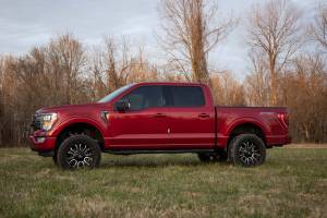 Rough Country - 41430_A | Rough Country 3 Inch Lift Kit Forged Upper Control Arms For Ford F-150 2WD - Image 9
