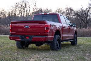 Rough Country - 41430_A | Rough Country 3 Inch Lift Kit Forged Upper Control Arms For Ford F-150 2WD - Image 13