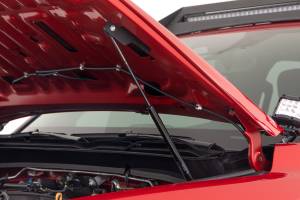 Rough Country - 94102 | Rough Country Hood Struts Hydraulic For Toyota Tacoma 2WD/4WD - Image 2