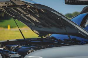 Rough Country - 72109 | Rough Country Hood Struts, Hydraulic For Toyota Tacoma 2WD/4WD - Image 8