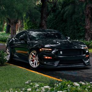 AlphaREX - 880261 | AlphaRex MK II NOVA-Series LED Projector Headlights For Ford Mustang (2015-2017) / Mustang Shelby GT350/GT500 (2018-2020) | Alpha-Black - Image 2